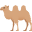🐫